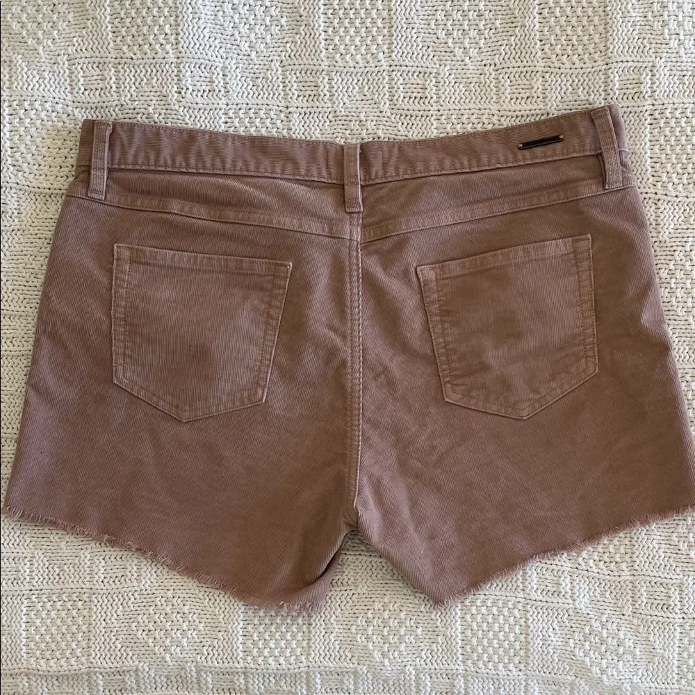 Carve Designs Oahu 4" Short in Fawn Size 10 - Picture 9 of 11